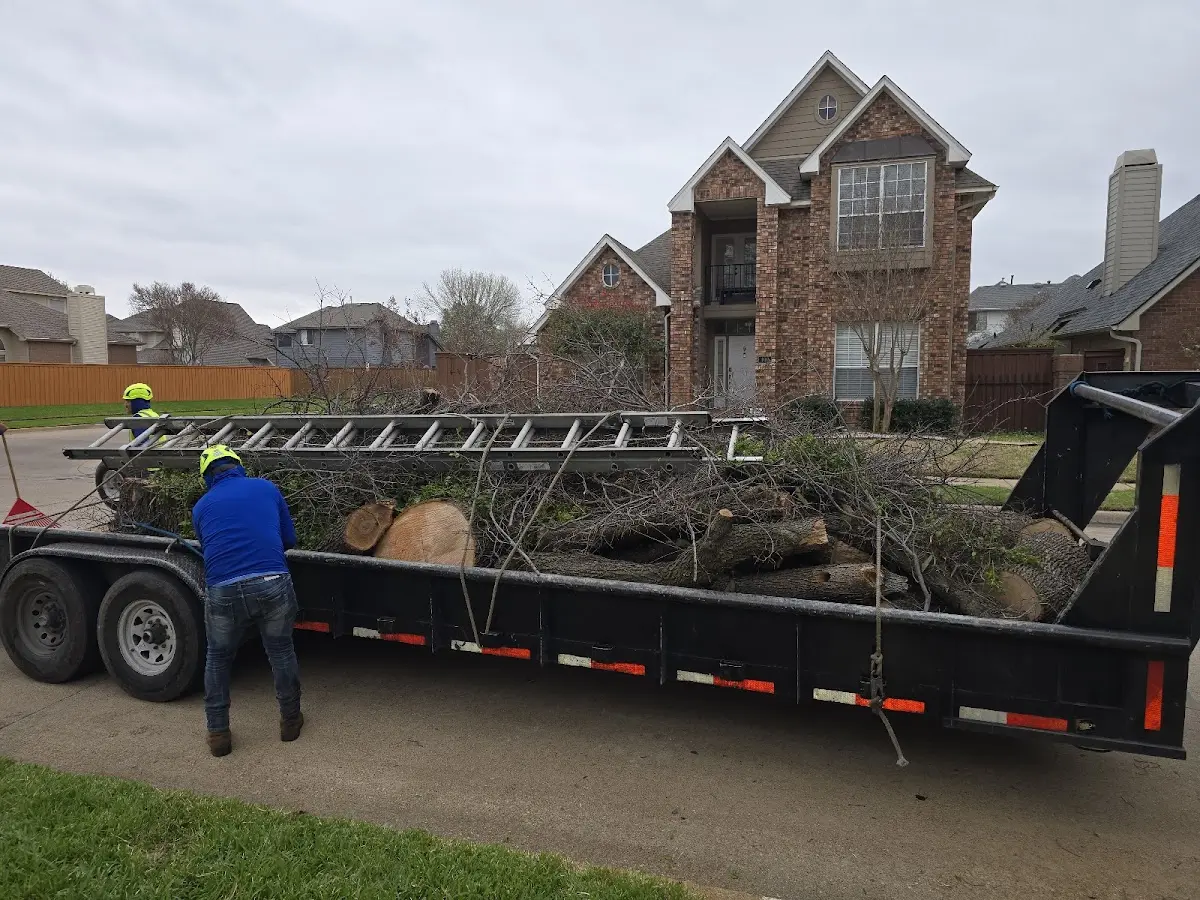 Expert Tree Fertilization with proper safety equipment in Marne